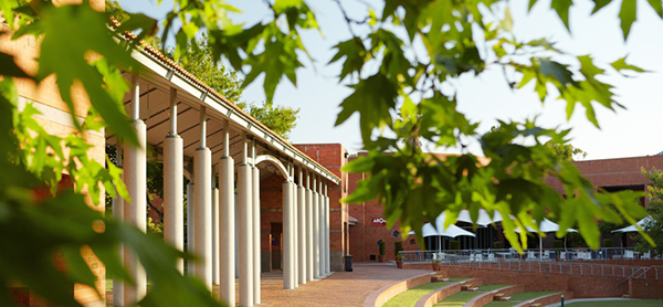 Curtin Grounds
