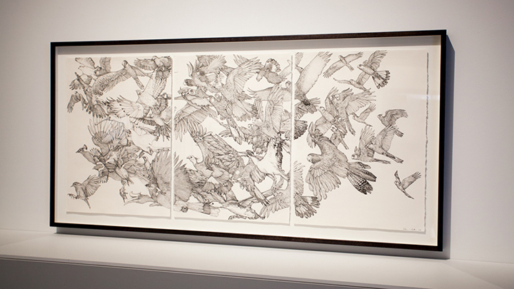 Flock by Andrew Nicholls